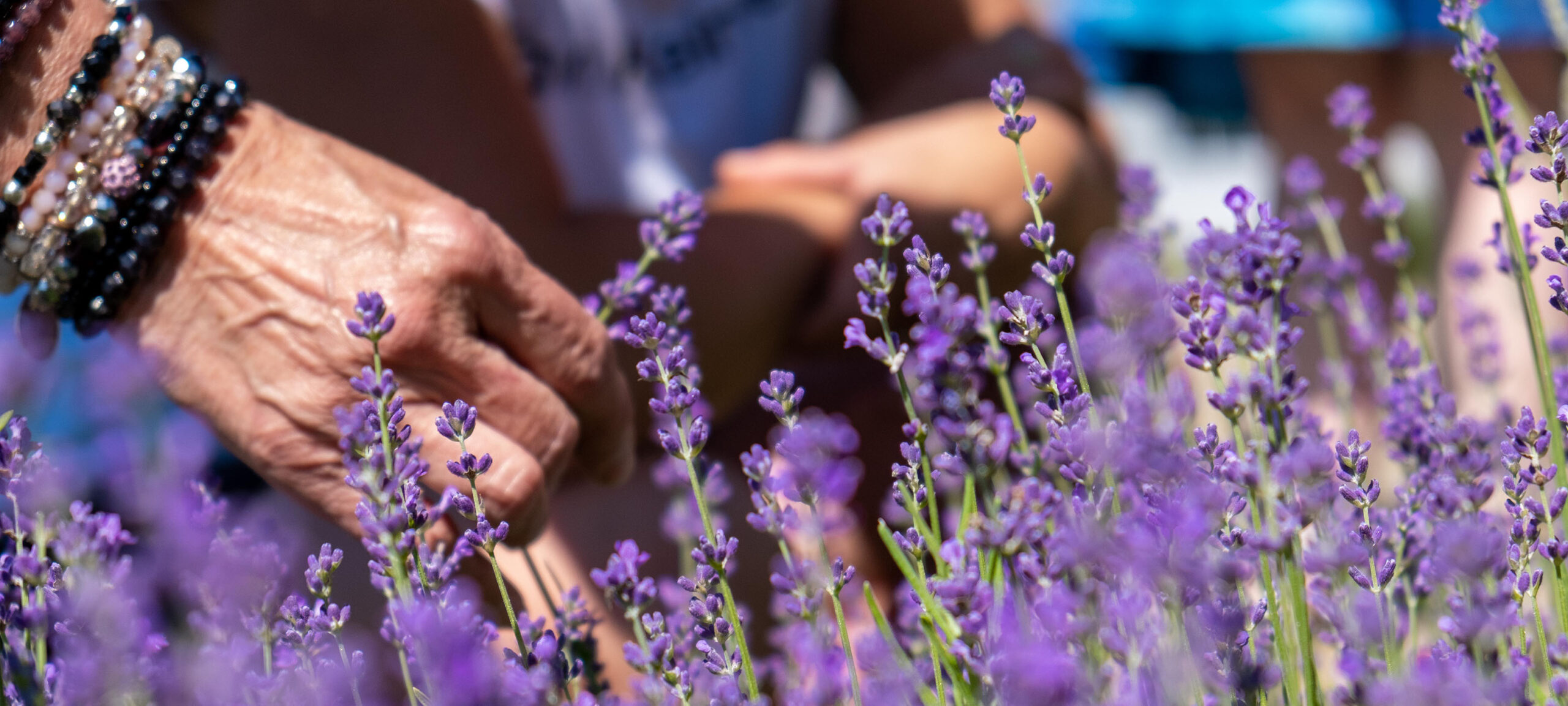 Réseau des Aidants Naturels D'Autray - RANDA